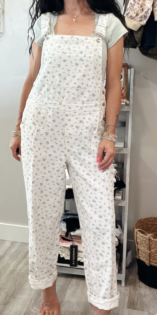 Ditzy Floral Denim Overalls ￼